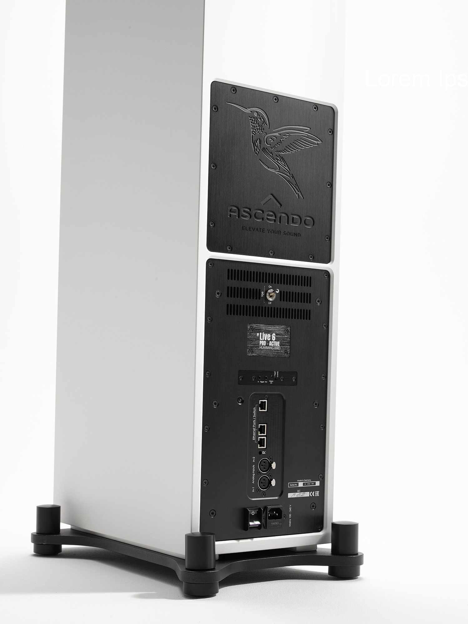 ascendo-live-6-humming-bird detail_rueckseite