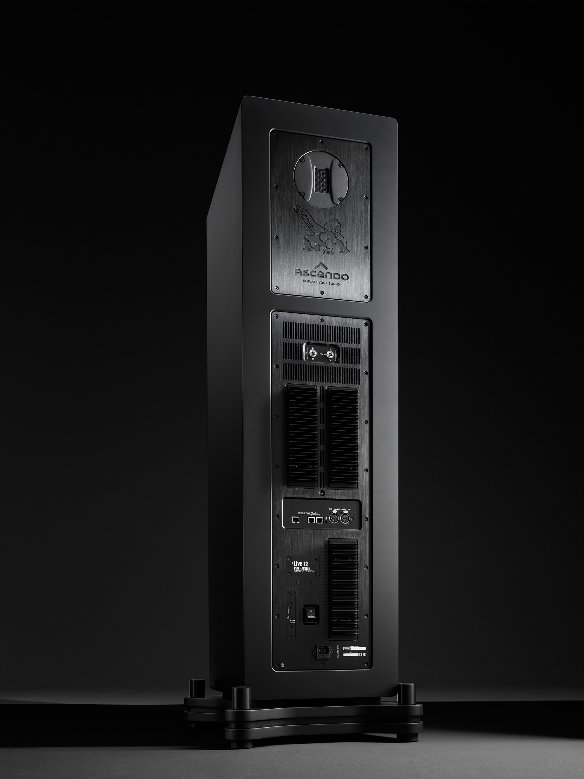 Ascendo Live 12 Komodo Dragon_detail